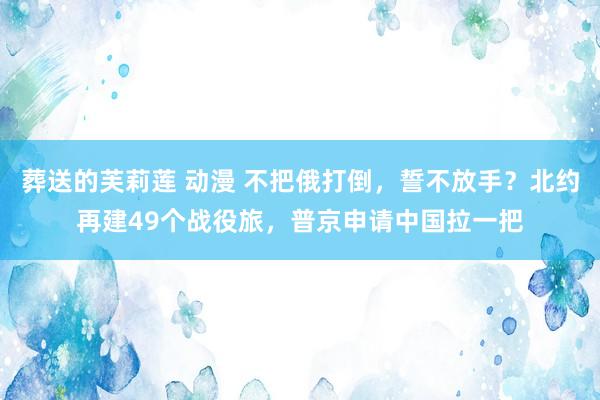 葬送的芙莉莲 动漫 不把俄打倒，誓不放手？北约再建49个战役旅，普京申请中国拉一把