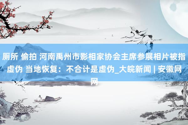 厕所 偷拍 河南禹州市影相家协会主席参展相片被指虚伪 当地恢复：不合计是虚伪_大皖新闻 | 安徽网