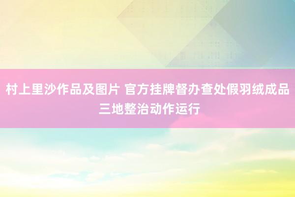 村上里沙作品及图片 官方挂牌督办查处假羽绒成品 三地整治动作运行