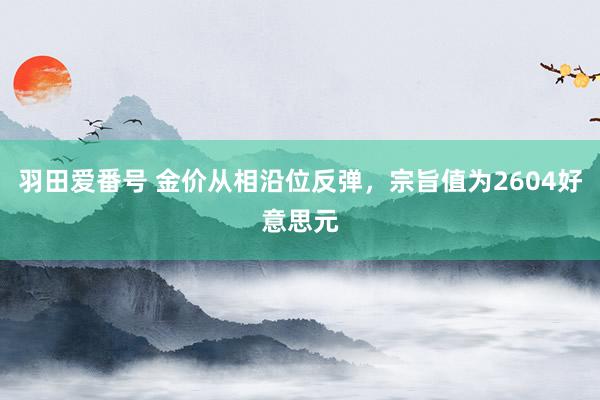 羽田爱番号 金价从相沿位反弹，宗旨值为2604好意思元