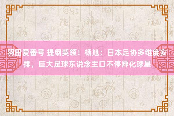 羽田爱番号 提纲契领！杨旭：日本足协多维度安排，巨大足球东说念主口不停孵化球星