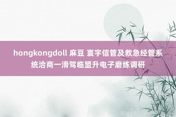 hongkongdoll 麻豆 寰宇信管及救急经管系统洽商一滑驾临盟升电子磨练调研