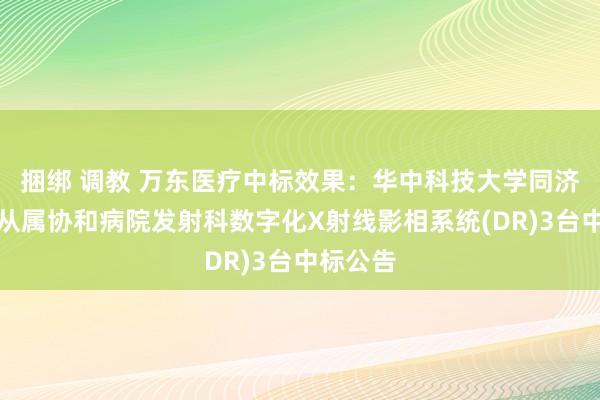 捆绑 调教 万东医疗中标效果：华中科技大学同济医学院从属协和病院发射科数字化X射线影相系统(DR)3台中标公告