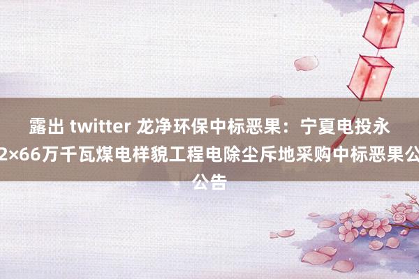 露出 twitter 龙净环保中标恶果：宁夏电投永利2×66万千瓦煤电样貌工程电除尘斥地采购中标恶果公告