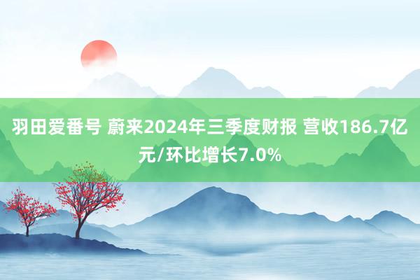 羽田爱番号 蔚来2024年三季度财报 营收186.7亿元/环比增长7.0%