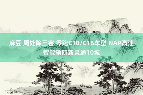 麻豆 周处除三害 零跑C10/C16车型 NAP高速智能领航新灵通10城