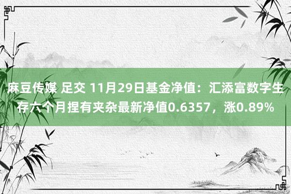 麻豆传媒 足交 11月29日基金净值：汇添富数字生存六个月捏有夹杂最新净值0.6357，涨0.89%