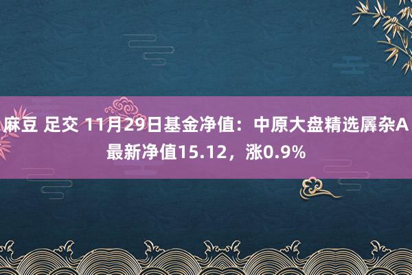 麻豆 足交 11月29日基金净值：中原大盘精选羼杂A最新净值15.12，涨0.9%