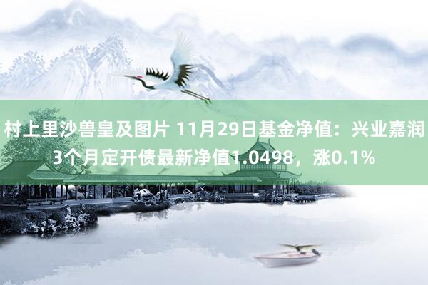 村上里沙兽皇及图片 11月29日基金净值：兴业嘉润3个月定开债最新净值1.0498，涨0.1%