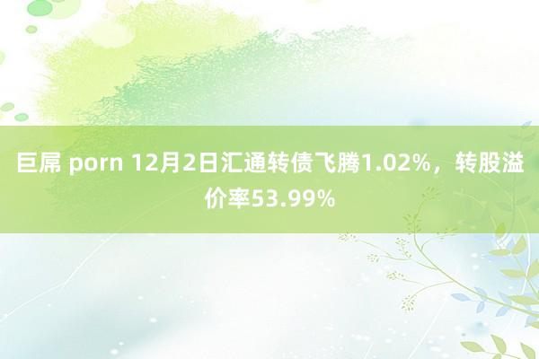 巨屌 porn 12月2日汇通转债飞腾1.02%，转股溢价率53.99%