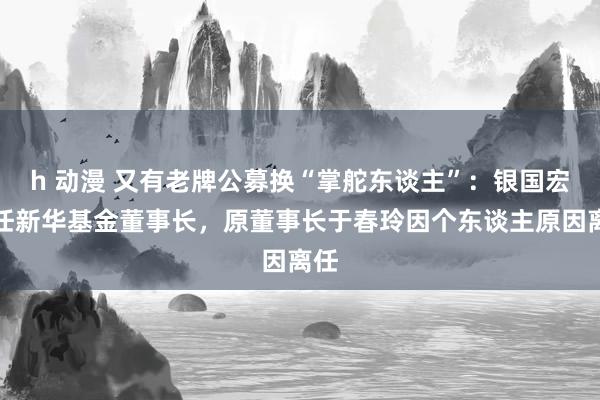 h 动漫 又有老牌公募换“掌舵东谈主”：银国宏新任新华基金董事长，原董事长于春玲因个东谈主原因离任