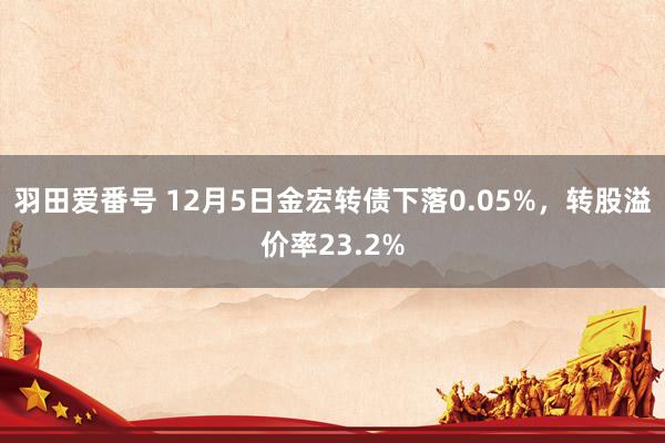 羽田爱番号 12月5日金宏转债下落0.05%，转股溢价率23.2%