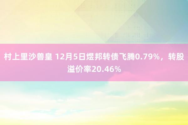 村上里沙兽皇 12月5日煜邦转债飞腾0.79%，转股溢价率20.46%