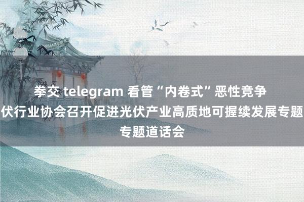 拳交 telegram 看管“内卷式”恶性竞争 中国光伏行业协会召开促进光伏产业高质地可握续发展专题道话会