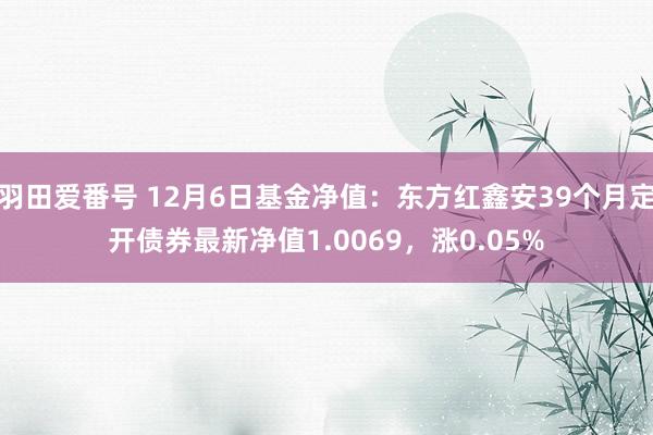 羽田爱番号 12月6日基金净值：东方红鑫安39个月定开债券最新净值1.0069，涨0.05%