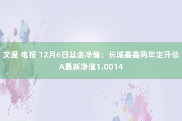 文爱 电报 12月6日基金净值：长城嘉鑫两年定开债A最新净值1.0014