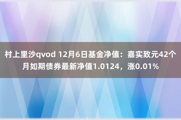 村上里沙qvod 12月6日基金净值：嘉实致元42个月如期债券最新净值1.0124，涨0.01%