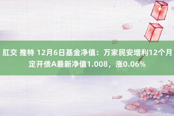 肛交 推特 12月6日基金净值：万家民安增利12个月定开债A最新净值1.008，涨0.06%