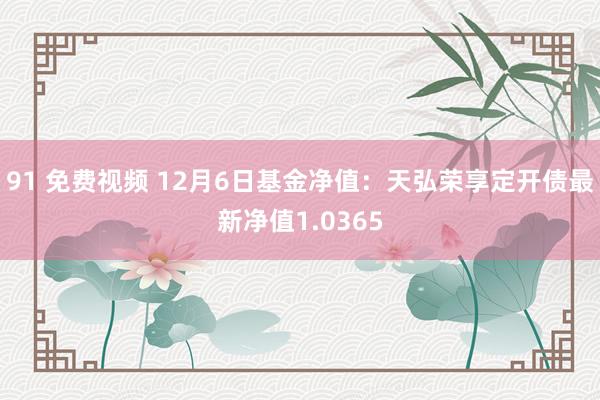 91 免费视频 12月6日基金净值：天弘荣享定开债最新净值1.0365