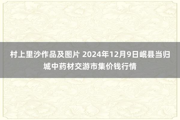 村上里沙作品及图片 2024年12月9日岷县当归城中药材交游市集价钱行情