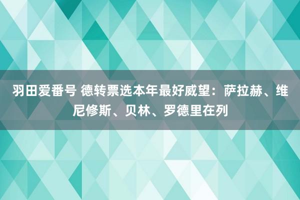 羽田爱番号 德转票选本年最好威望：萨拉赫、维尼修斯、贝林、罗德里在列