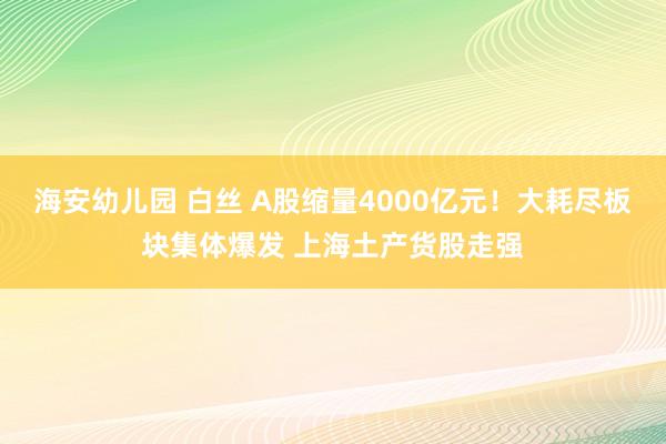 海安幼儿园 白丝 A股缩量4000亿元！大耗尽板块集体爆发 上海土产货股走强