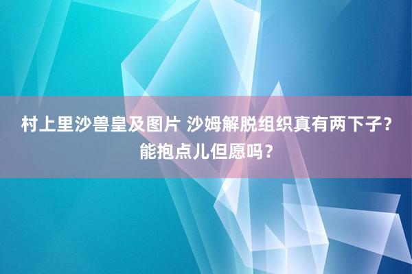 村上里沙兽皇及图片 沙姆解脱组织真有两下子？能抱点儿但愿吗？