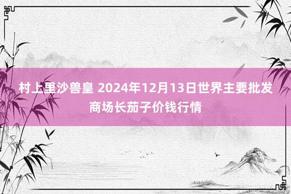 村上里沙兽皇 2024年12月13日世界主要批发商场长茄子价钱行情