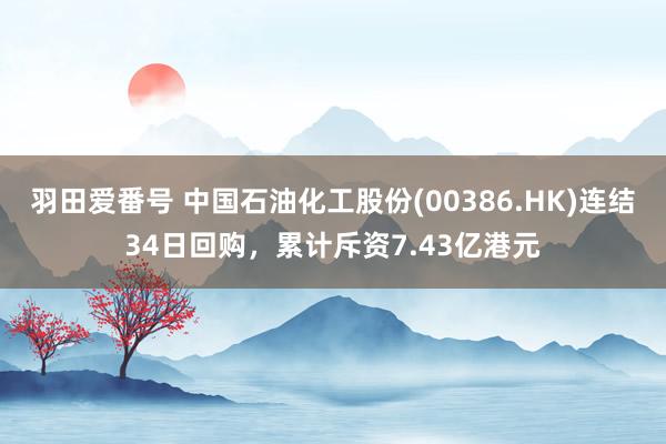 羽田爱番号 中国石油化工股份(00386.HK)连结34日回购，累计斥资7.43亿港元