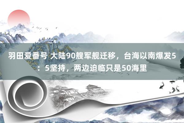 羽田爱番号 大陆90艘军舰迁移，台海以南爆发5：5坚持，两边迫临只是50海里