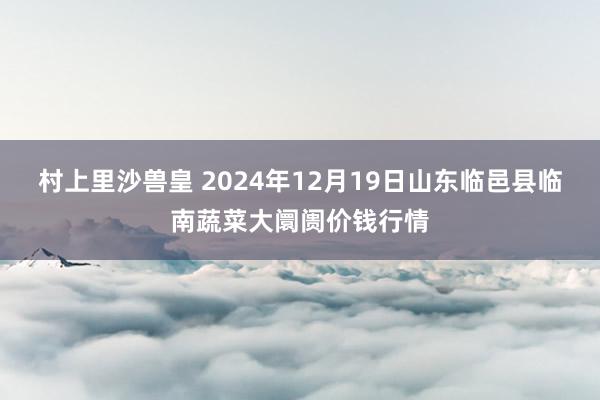 村上里沙兽皇 2024年12月19日山东临邑县临南蔬菜大阛阓价钱行情