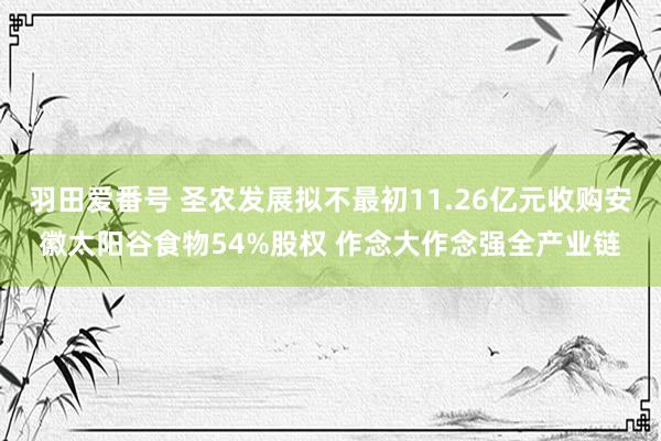 羽田爱番号 圣农发展拟不最初11.26亿元收购安徽太阳谷食物54%股权 作念大作念强全产业链