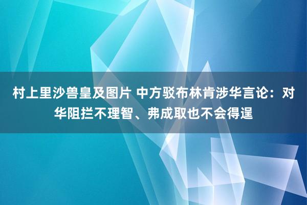 村上里沙兽皇及图片 中方驳布林肯涉华言论：对华阻拦不理智、弗成取也不会得逞