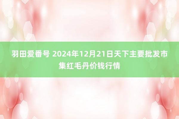 羽田爱番号 2024年12月21日天下主要批发市集红毛丹价钱行情