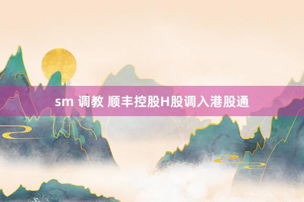 sm 调教 顺丰控股H股调入港股通