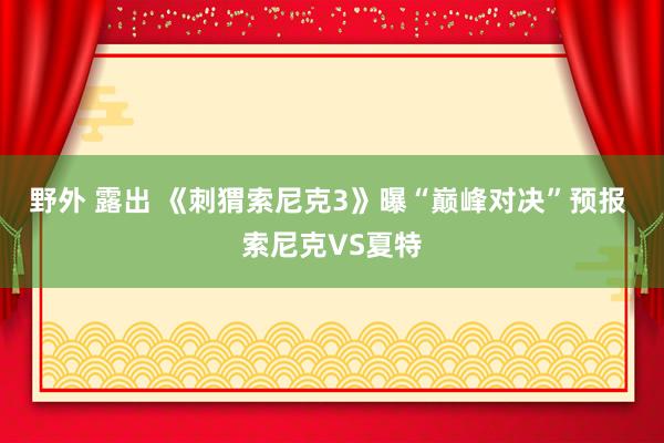 野外 露出 《刺猬索尼克3》曝“巅峰对决”预报 索尼克VS夏特