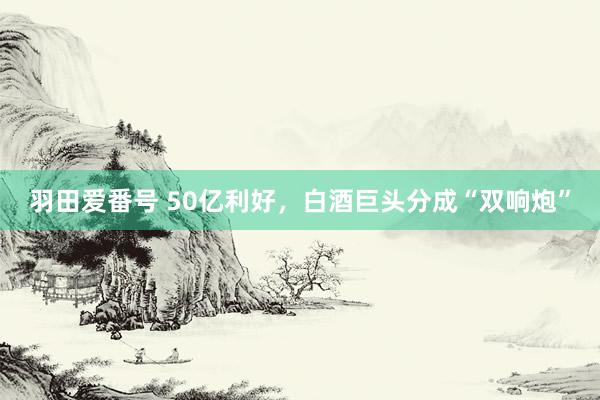 羽田爱番号 50亿利好，白酒巨头分成“双响炮”