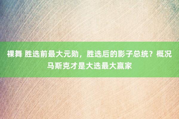 裸舞 胜选前最大元勋，胜选后的影子总统？概况马斯克才是大选最大赢家