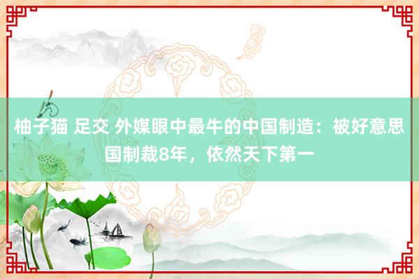 柚子猫 足交 外媒眼中最牛的中国制造：被好意思国制裁8年，依然天下第一