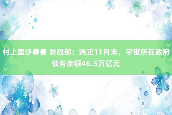 村上里沙兽皇 财政部：端正11月末，宇宙所在政府债务余额46.5万亿元