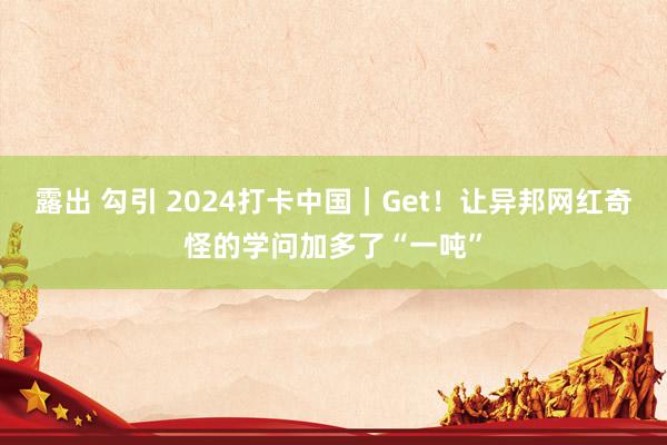 露出 勾引 2024打卡中国｜Get！让异邦网红奇怪的学问加多了“一吨”