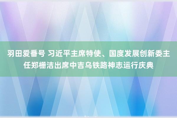 羽田爱番号 习近平主席特使、国度发展创新委主任郑栅洁出席中吉乌铁路神志运行庆典