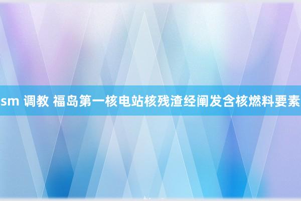 sm 调教 福岛第一核电站核残渣经阐发含核燃料要素