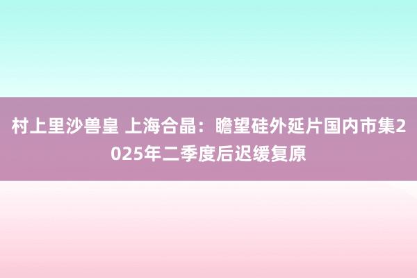 村上里沙兽皇 上海合晶：瞻望硅外延片国内市集2025年二季度后迟缓复原