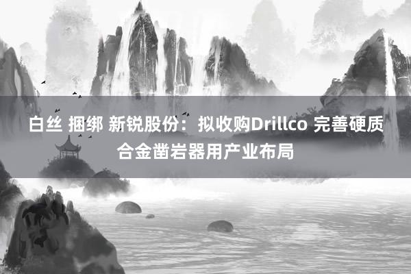 白丝 捆绑 新锐股份：拟收购Drillco 完善硬质合金凿岩器用产业布局