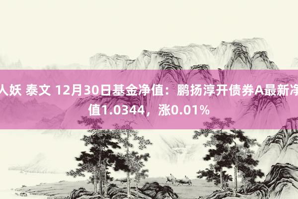 人妖 泰文 12月30日基金净值：鹏扬淳开债券A最新净值1.0344，涨0.01%