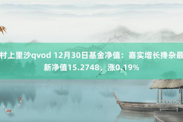 村上里沙qvod 12月30日基金净值：嘉实增长搀杂最新净值15.2748，涨0.19%