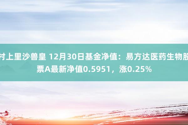 村上里沙兽皇 12月30日基金净值：易方达医药生物股票A最新净值0.5951，涨0.25%