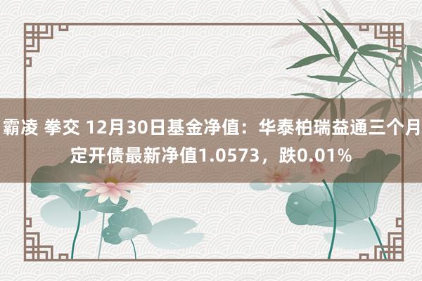 霸凌 拳交 12月30日基金净值：华泰柏瑞益通三个月定开债最新净值1.0573，跌0.01%