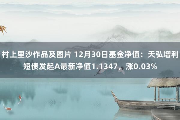 村上里沙作品及图片 12月30日基金净值：天弘增利短债发起A最新净值1.1347，涨0.03%